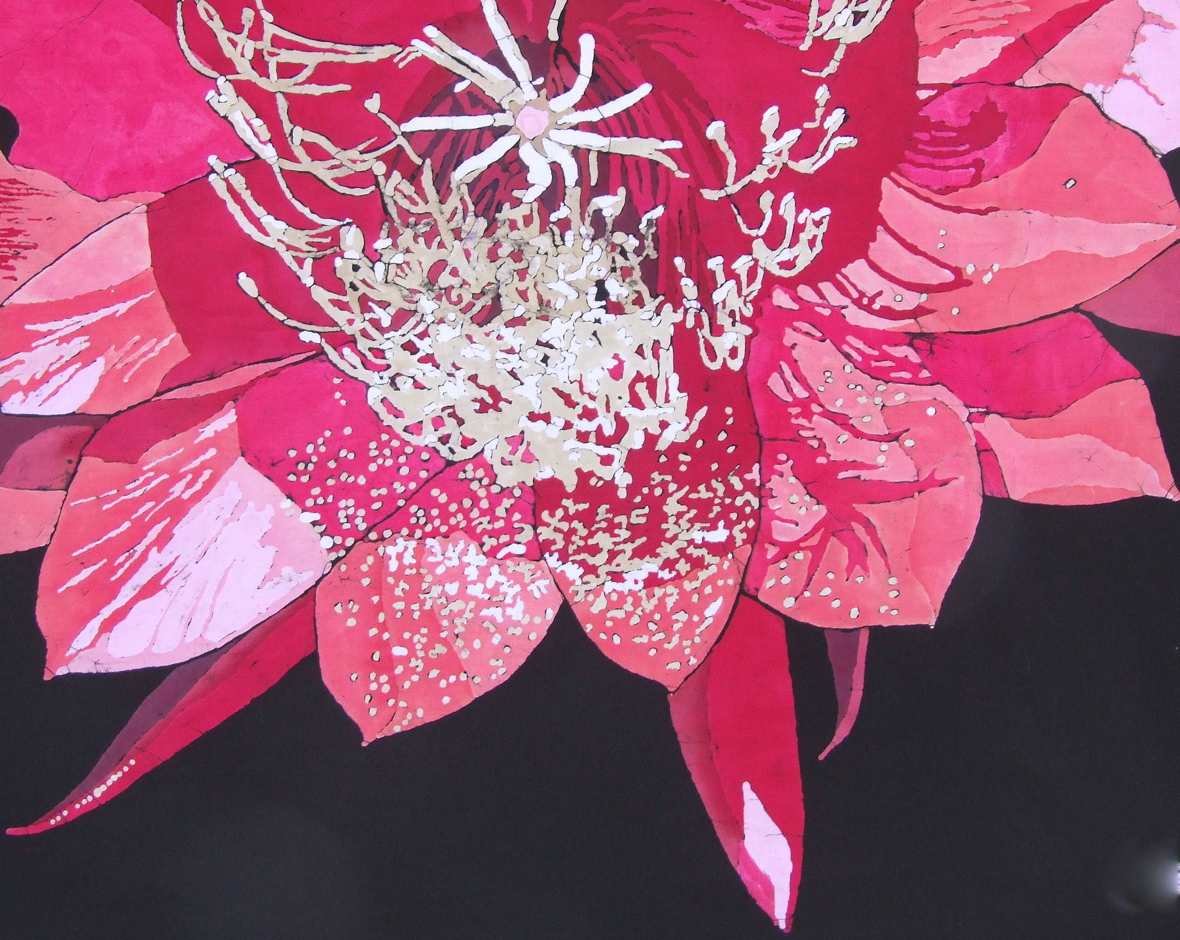cactus flower