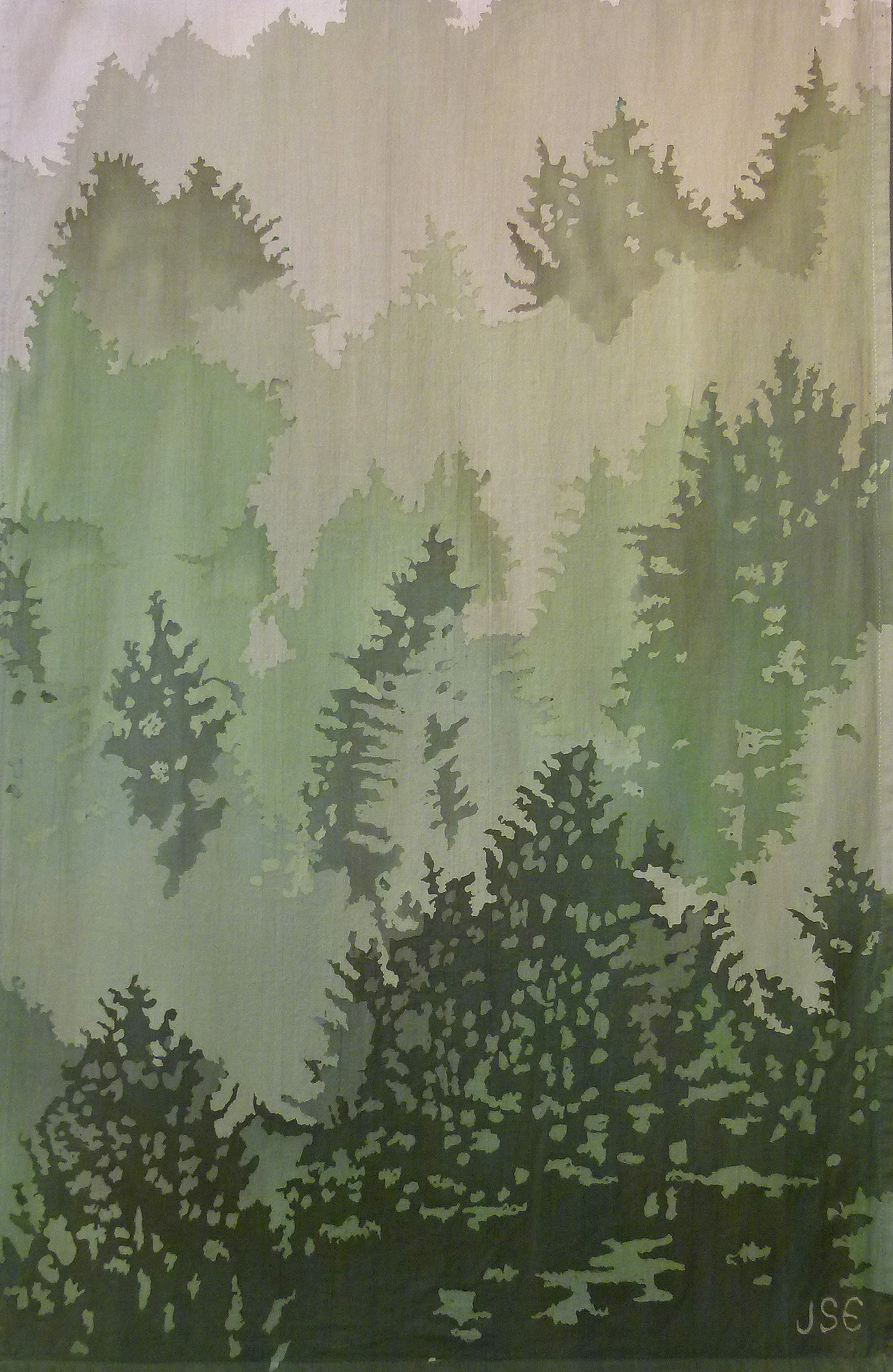 Pines in the Mist