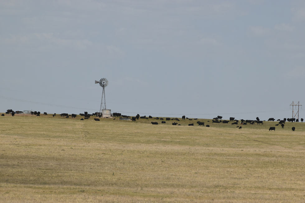 Agriculture has been a fixture in Laramie County since it's inception. So has water for the herd. Small water projects, such as keeping water clean and available to cattle is a priority for us.