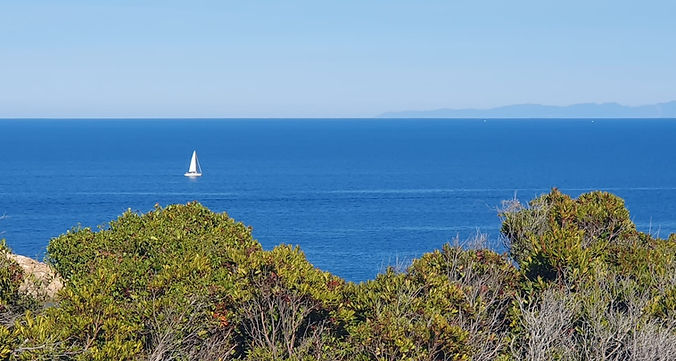 ecole de croisiere ajaccio photo voilier page accueil.jpeg