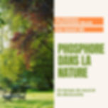 Phosphore dans la nature