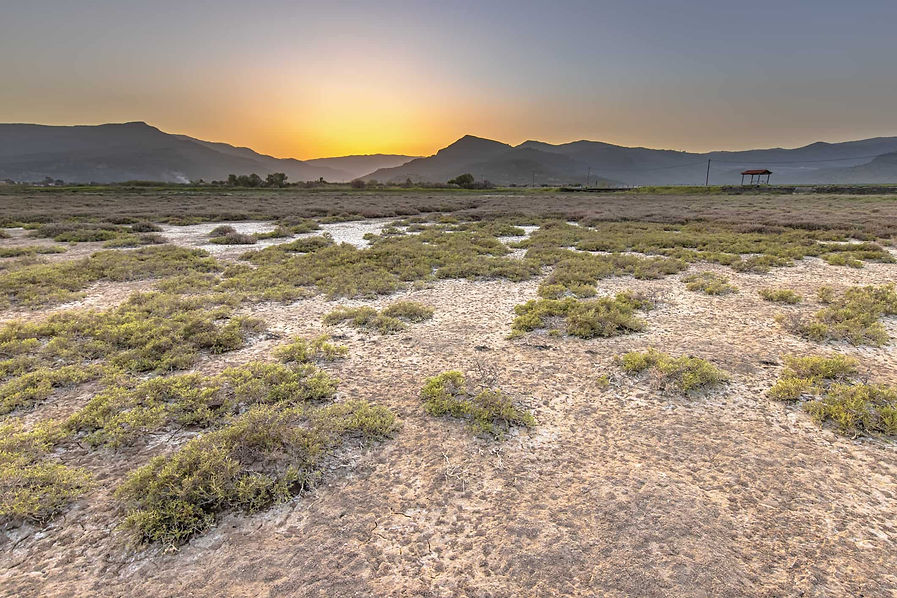 Kalloni Estuary Lesvos
