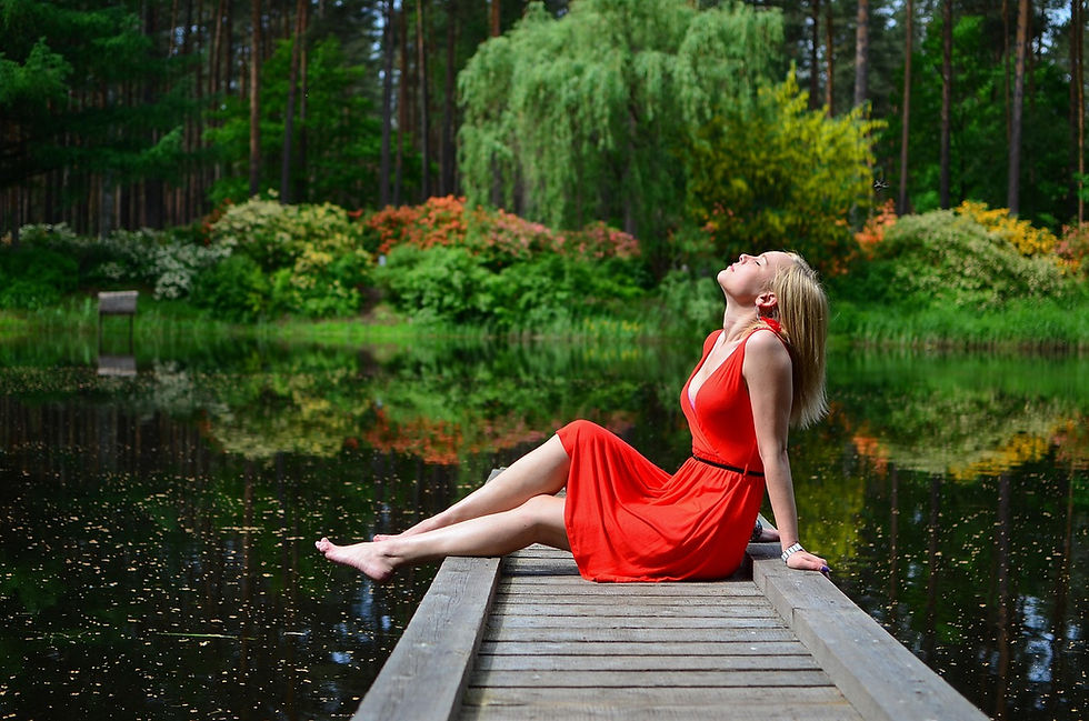 Serenity Forest