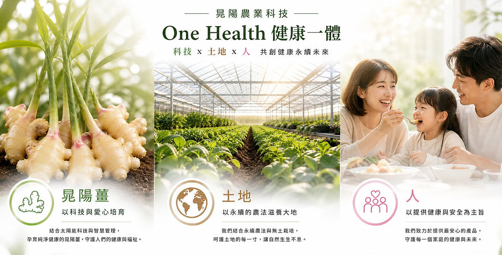 大健康
