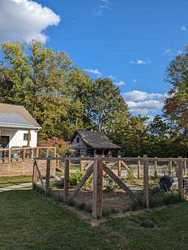 PXL_20231009_211453360(1).jpg