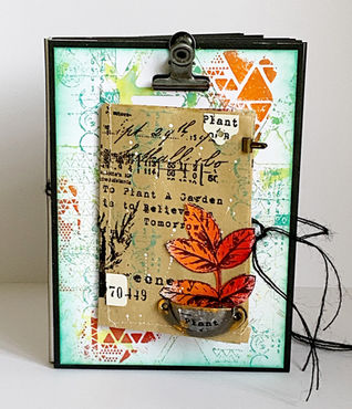 Special Events and New Collection [1/2]