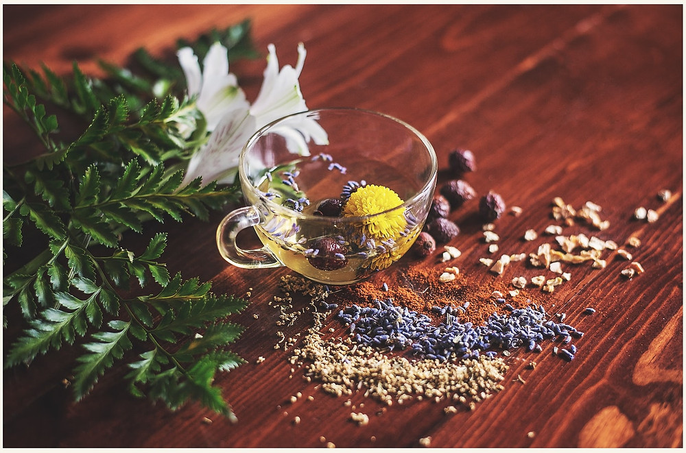 herbs and plants in a cup and on the table