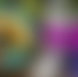 🎶 Bundanoon Folk Festival Early Bird Tickets (Our Members Only)