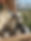 E30FBC0F-F4DE-4798-B725-2B3D5BAAB0B8.jpeg