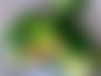 Alimentos nutritivos que não podem faltar em uma alimentação vegana (parte 2)