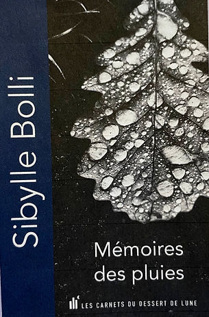 Couverture du livre Mémoires des pluies