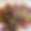Thumbnail: Yoni Steam Consultation & herbs