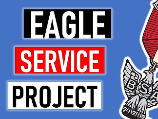 Eagle Service Project General.jpg