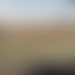 Avdeling Bislett flyttes