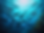 fanxia8144_httpss.mj.run5IpXwtWGsRw_school_of_salmon_in_blue_oc_e2212fc1-7e08-4010-b95b-dc