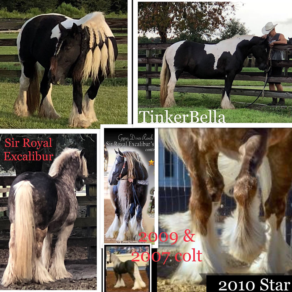 x Lady TinkerBella