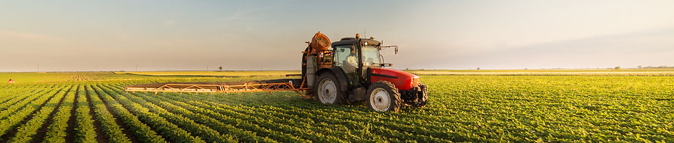 AdobeStock_489842065_edited.jpg
