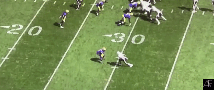 Moore_Tran3 (1).gif