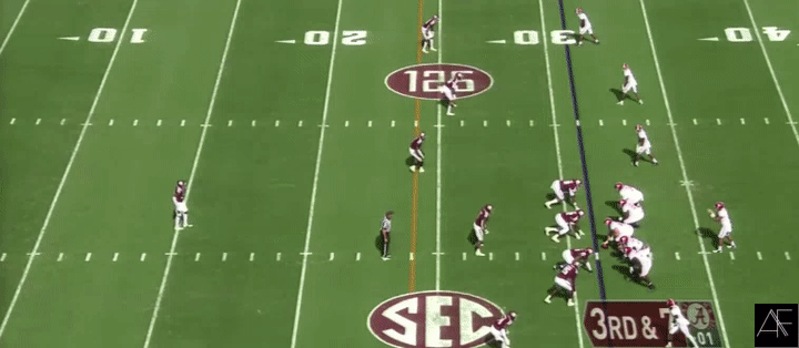 Waddle_YAC8.gif