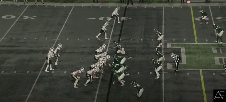Moore_Tran2.gif