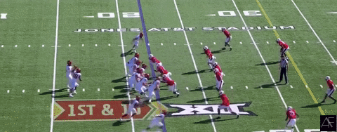 Hall_Rec1.gif