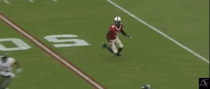 CeeDee_Lamb_Catch_concentration2.gif