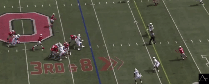 JSN_9.gif