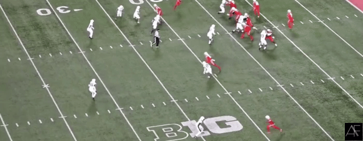 Wilson_Trans3.gif