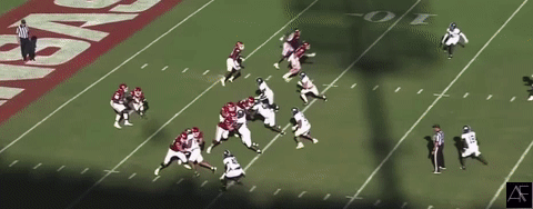 Burks_Accel1.gif