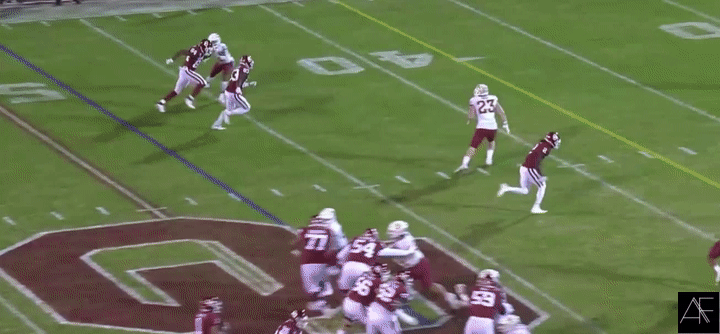 CeeDee_Lamb_Catch_concentration1.gif