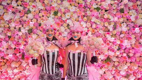 Candy Crush 50m2 of a Real Flower Wall and more...