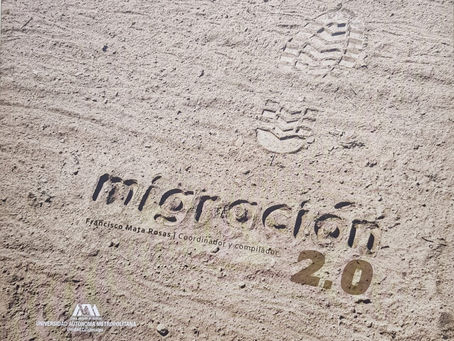 Publicación en el libro Migración 2.0