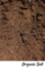 Organic Soil