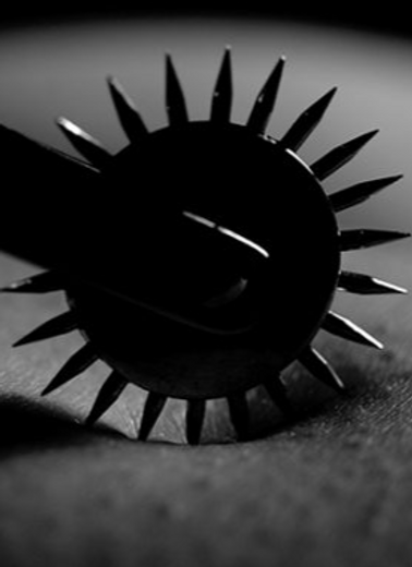 A sadistic, pointy wartenberg wheel