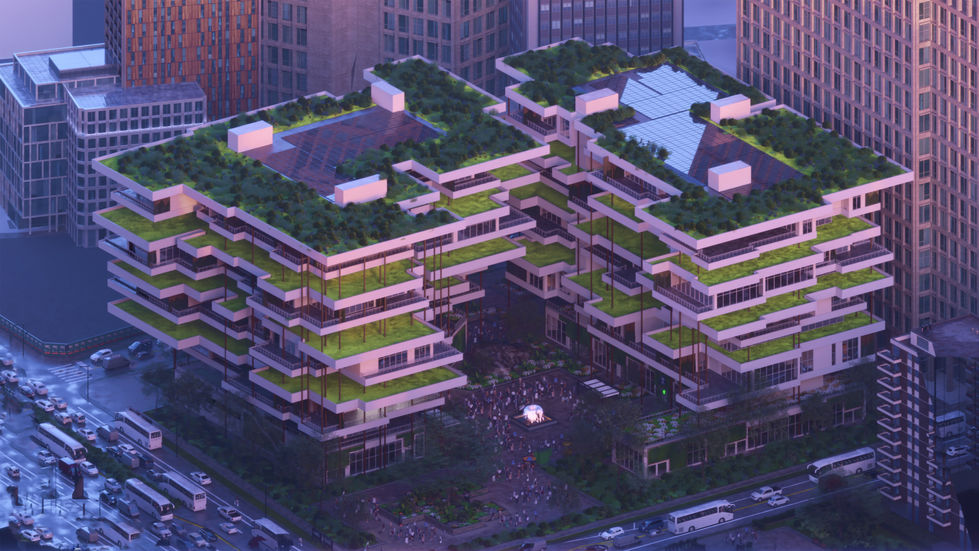 ortho full detail copy (1)