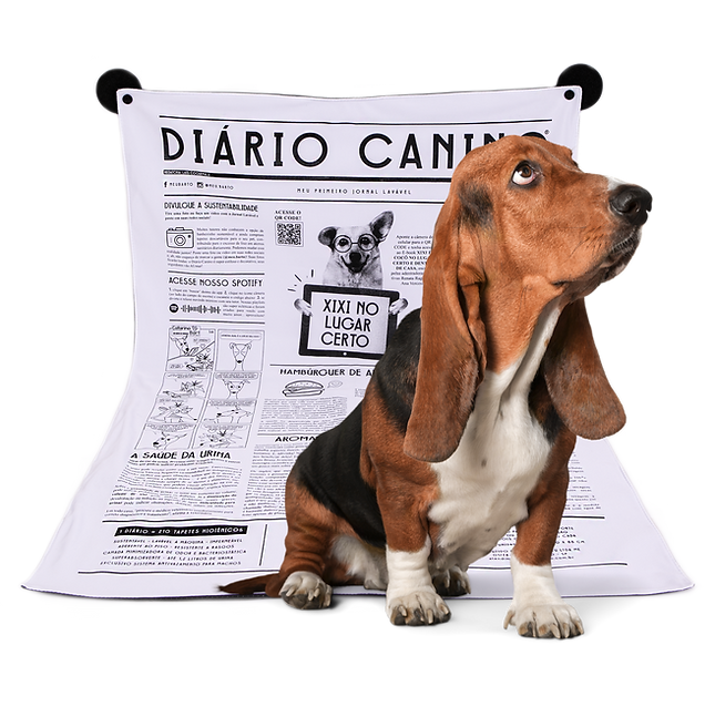 Design sem nome (37).png