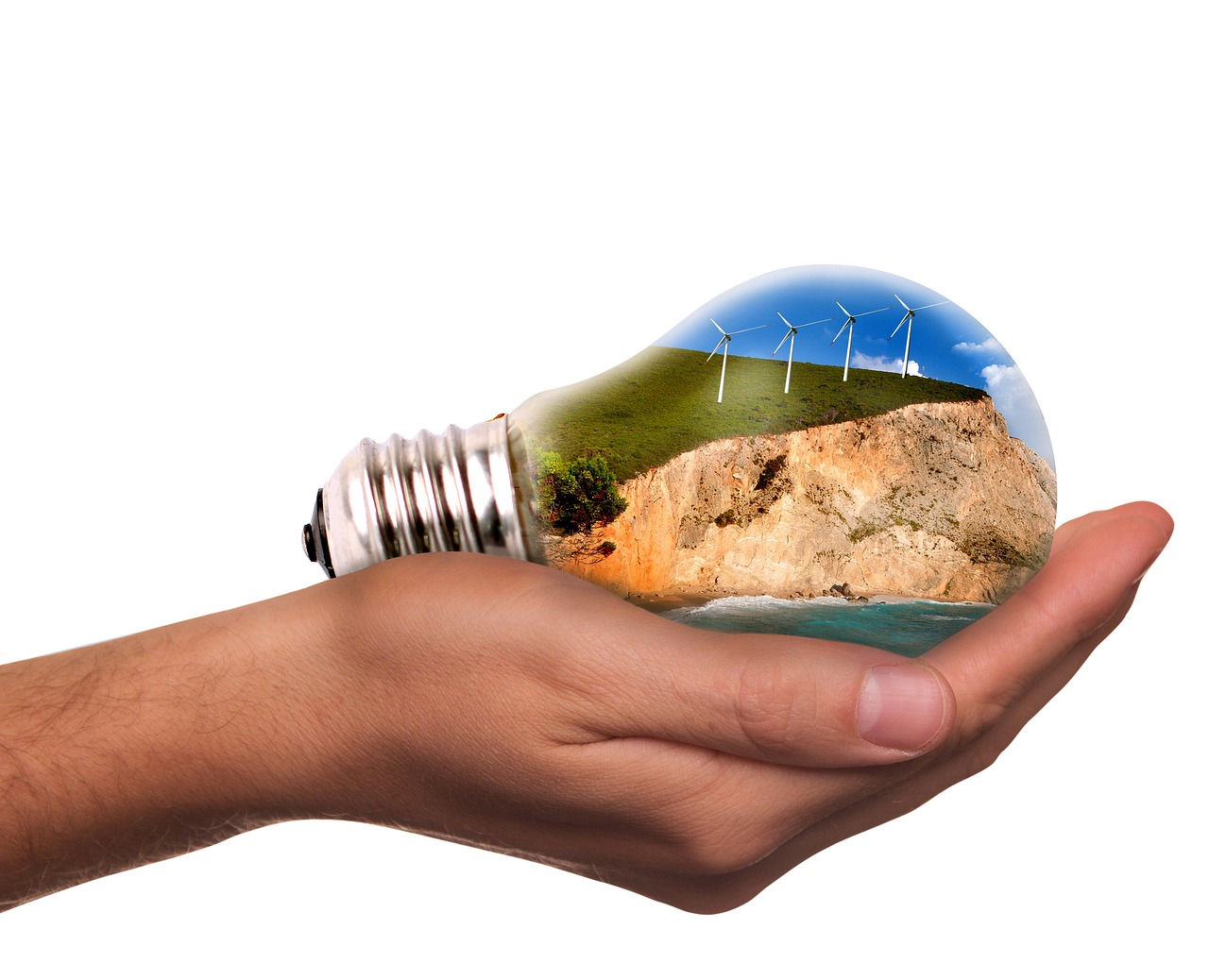 Expertos ambientales urgen alianzas bilaterales para acelerar transición energética