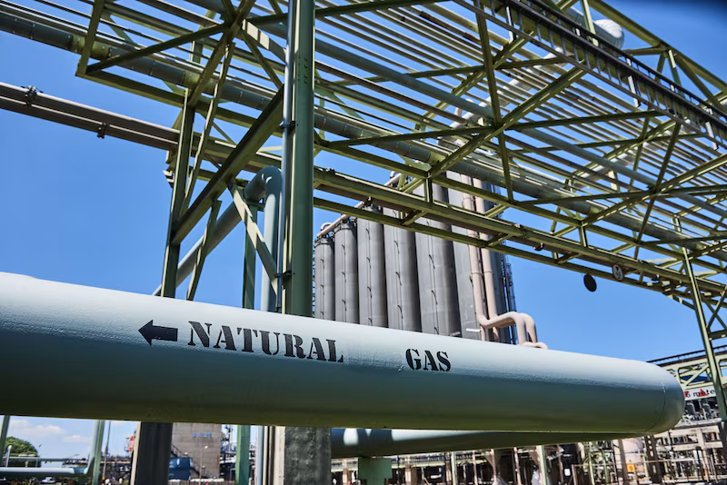 Cooperación bilateral en biocombustibles fortalece seguridad energética