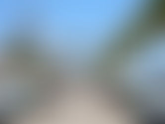 CFE activa operativo de Semana Santa 2026 para garantizar suministro eléctrico en México