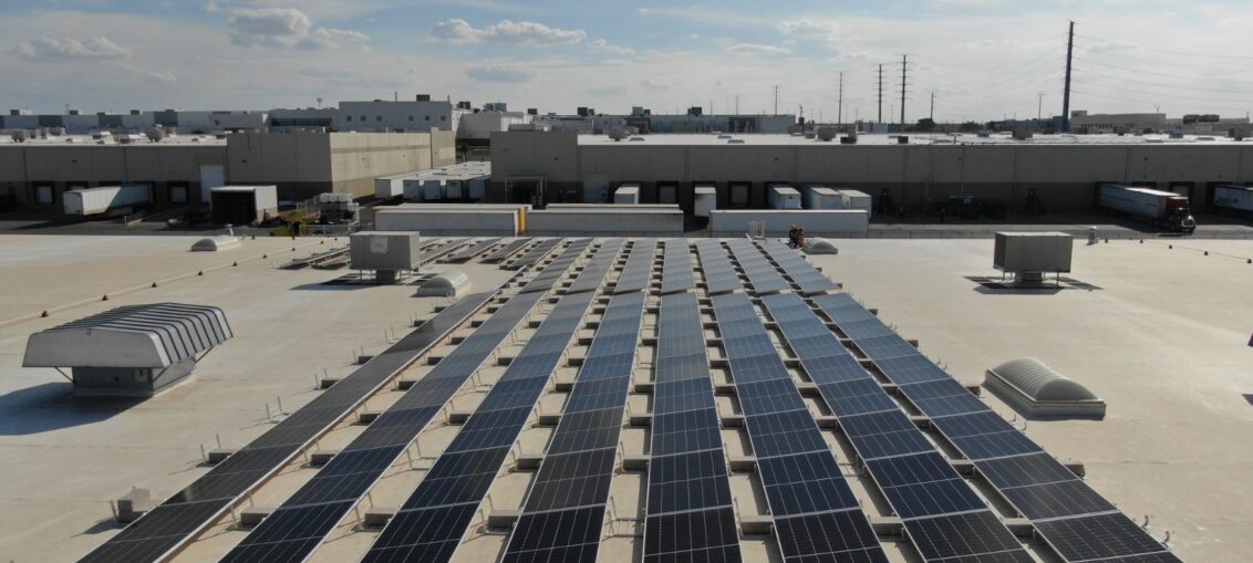 EE.UU. impone límites a proyectos solares en tierras agrícolas productivas
