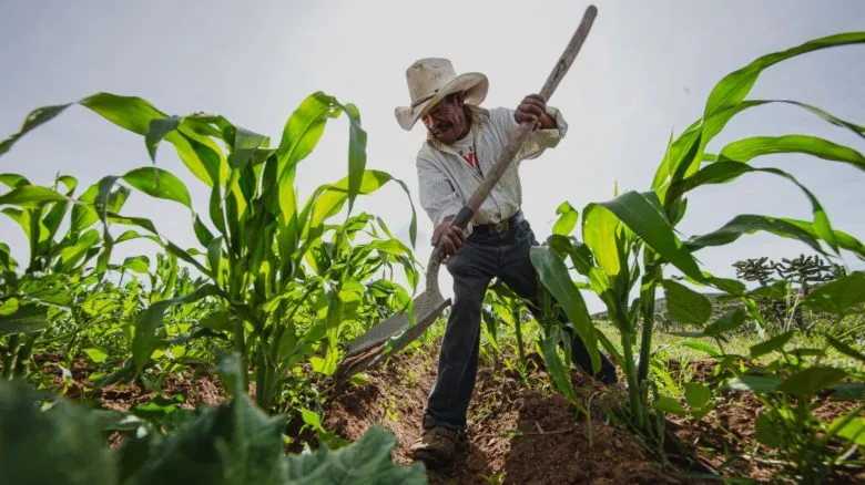 Bloqueos carreteros de agricultores generan pérdidas por 2,300 mdp: Canacintra respalda acuerdo federal pero urge diálogo permanente