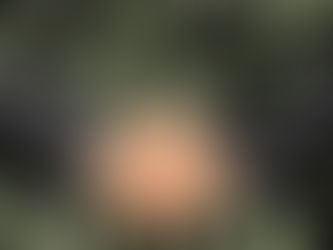 México enfrenta meses complicados por revisión del T-MEC