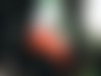 Celebración del Día de la Independencia Mexicana en EE.UU. marca récord de participación