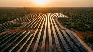 CFE adjudica 7,411 MW de renovables en su primera convocatoria mixta con privados