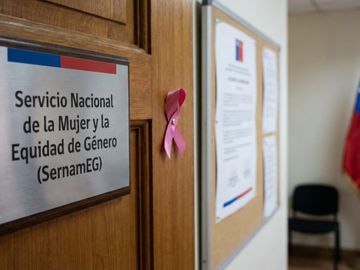 Gobierno chileno solicita renuncia a directora de SernamEG en pleno tratamiento por cáncer
