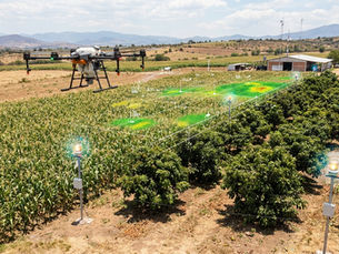 México aprovecha avances en IA para fortalecer su sector agroindustrial