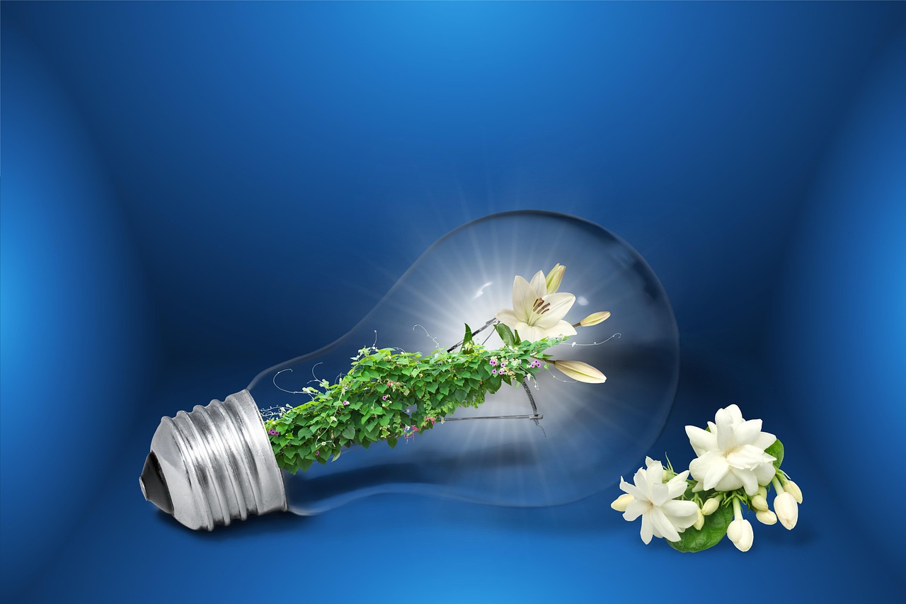 México inaugura Centro de Innovación en Energías Renovables