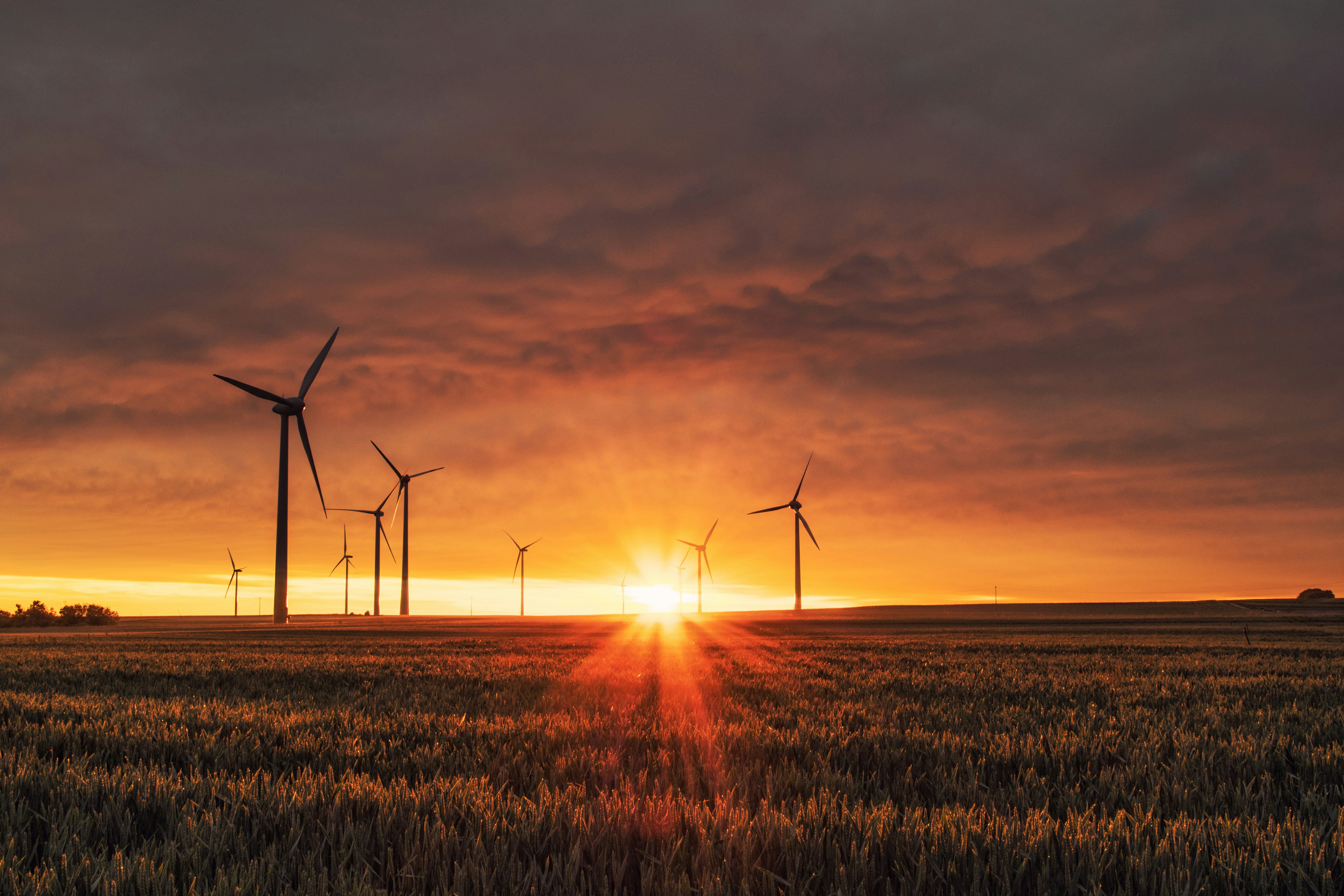 México enfrenta un año perdido en energías limpias por incertidumbre regulatoria