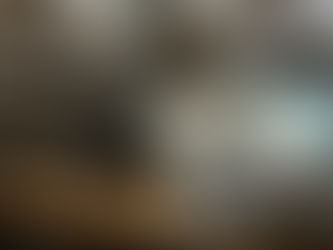 Archivo Laboratorio del Arte Alameda preserva saberes museológicos de ruptura en México