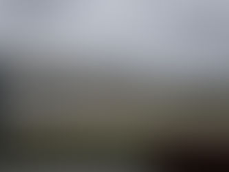 Autoridades de EE.UU. revelan cifra de mexicanos bajo custodia de ICE de enero a marzo de 2026  